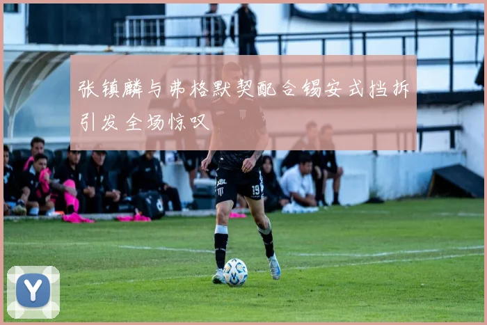 张镇麟与弗格默契配合锡安式挡拆引发全场惊叹